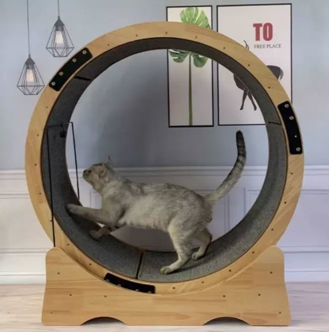 Brinquedos de fitness para animais de estimação Estaca de corrida para gatos com roda de corrida muda e suporte de escalada para gatos de madeira maciça