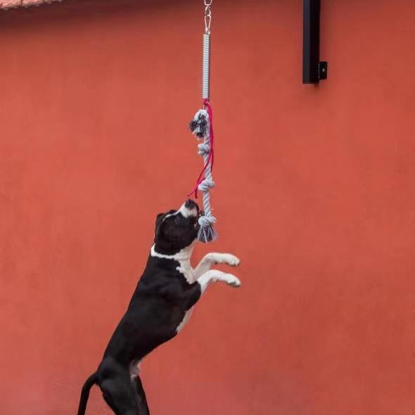 6063/6061/6005/6082/6060 Conjuntos de colunas de molas para cães energéticos de liga pesada